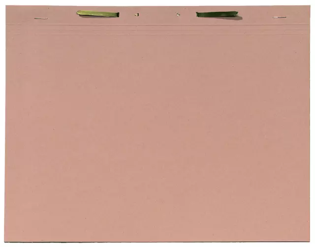 Een Dossiermap Jalema folio met snelhechter 300gr chamois koop je bij KantoorProfi België BV