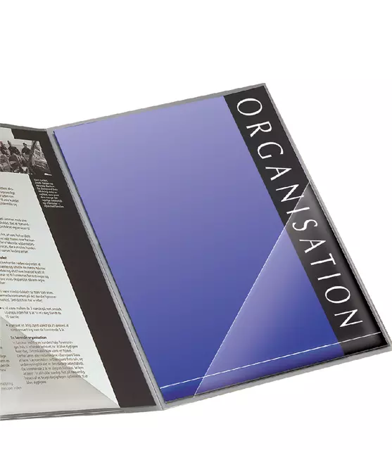 Een Insteektas Tarifold driehoek 100x100mm zelfklevend PP transparant koop je bij EconOffice