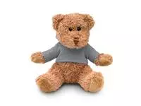 Teddybeer met sweatshirt