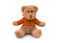 Teddybeer met sweatshirt