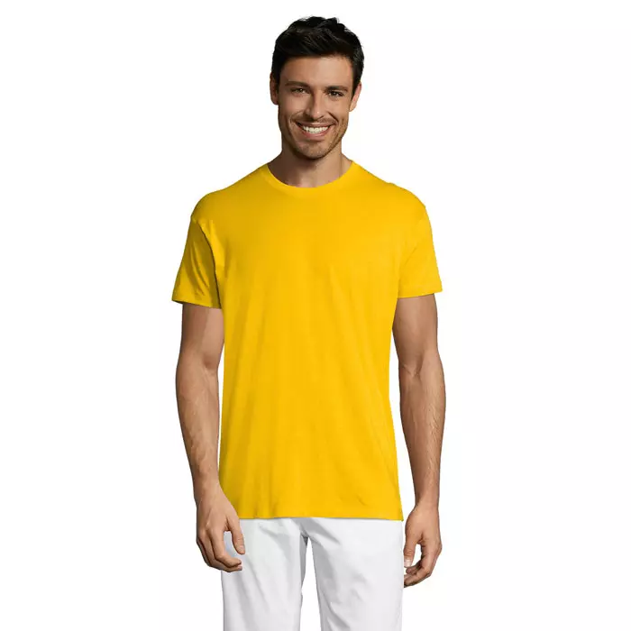 REGENT Uni T-Shirt 150g