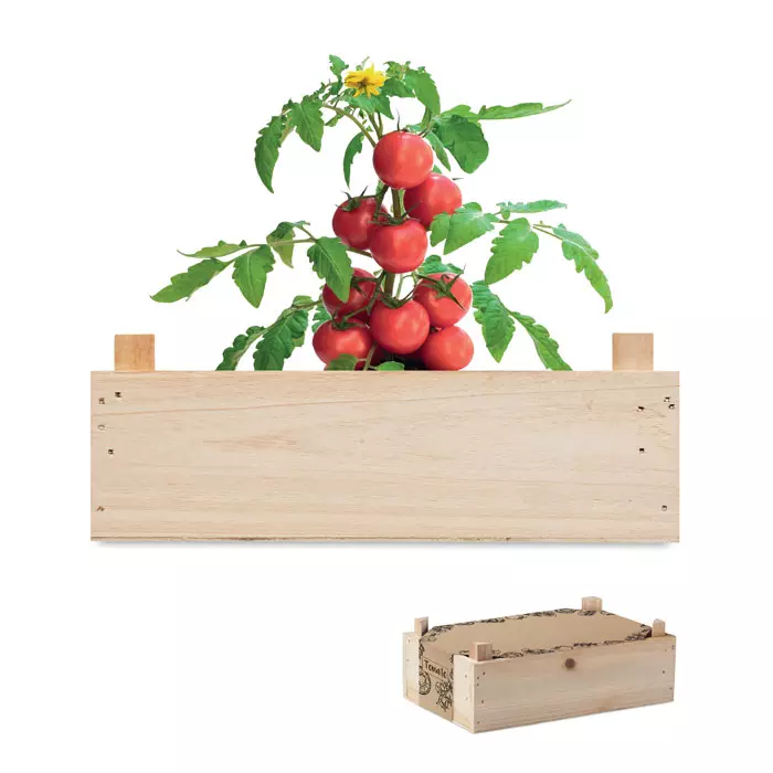 Tomatenkweekset houten kratje