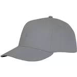 Ares 6 panel cap