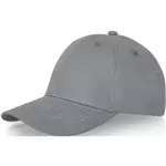 Davis 6 panel cap