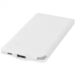 WS119 4000 mAh powerbank