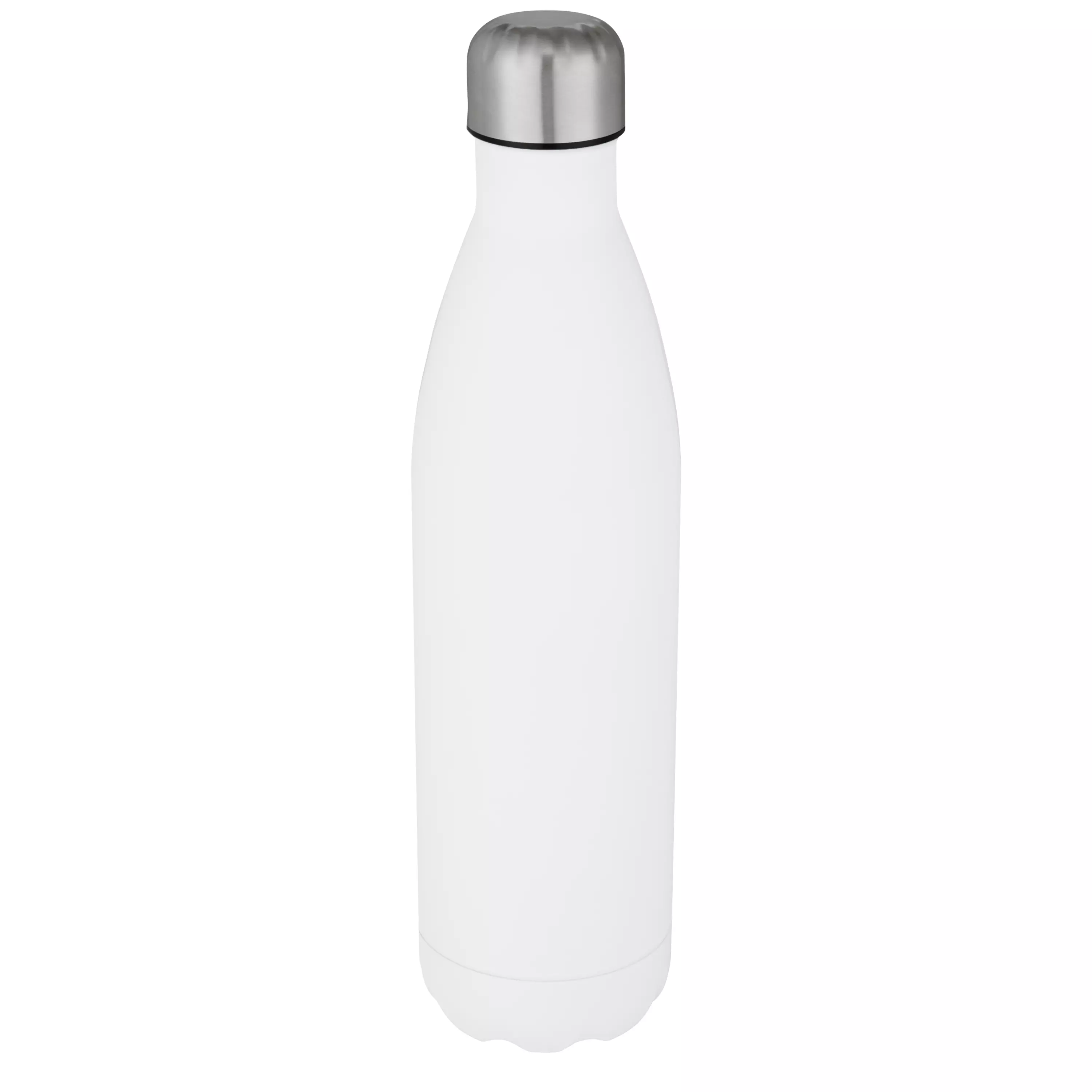 Cove vacuüm geïsoleerde roestvrijstalen fles van 750 ml