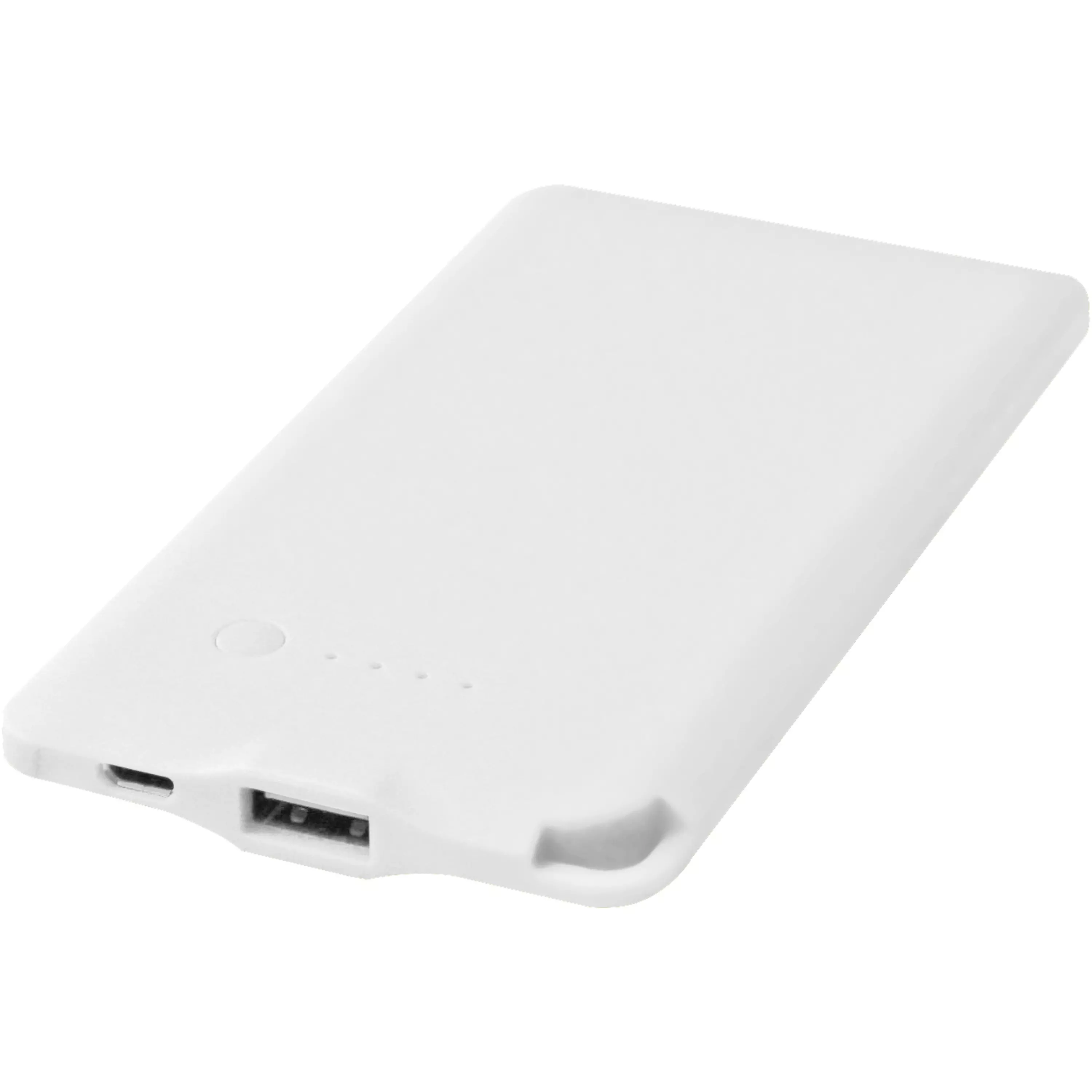 WS119 4000 mAh powerbank