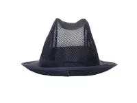 Een Trilby hoed met haarnetje blauw M koop je bij ShopXPress