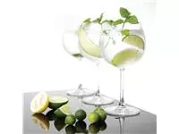 Een Olympia Bar Collection kristallen gin tonic glazen 645ml (6 stuks) koop je bij ShopXPress