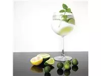 Een Olympia Bar Collection kristallen gin tonic glazen 645ml (6 stuks) koop je bij ShopXPress