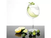 Een Olympia Bar Collection kristallen gin tonic glazen 645ml (6 stuks) koop je bij ShopXPress