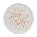 Een Churchill Studio Prints Kintsugi Coral borden 260mm (Pak van 6) koop je bij ShopXPress