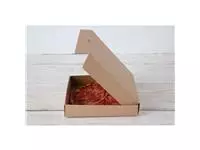 Een Fiesta Compostable composteerbare kartonnen pizzadozen 23cm (100 stuks) koop je bij ShopXPress