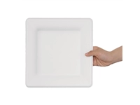 Een Fiesta Compostable composteerbare bagasse borden vierkant 261mm (50 stuks) koop je bij Supplierz BV