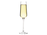 Buy your Olympia Claro champagne flutes 260ml (6 stuks) at Supplierz BV