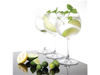 Een Olympia Bar Collection kristallen gin tonic glazen 645ml (6 stuks) koop je bij Supplierz BV