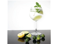 Een Olympia Bar Collection kristallen gin tonic glazen 645ml (6 stuks) koop je bij Supplierz BV