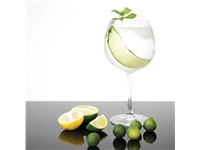 Een Olympia Bar Collection kristallen gin tonic glazen 645ml (6 stuks) koop je bij Supplierz BV