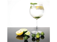 Een Olympia Bar Collection kristallen gin tonic glazen 645ml (6 stuks) koop je bij Supplierz BV