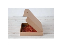 Sie können einen Fiesta Compostable Pizzakarton 23cm (100 Stück) bei Supplierz BV kaufen