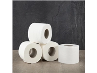 Buy your Jantex 2-laags toiletpapier (36 stuks) at Supplierz BV