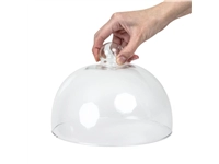 Buy your Glazen cloche 21cm at Supplierz BV