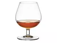 Een Arcoroc brandy- cognacglaszen 25cl (6 stuks) koop je bij ShopXPress