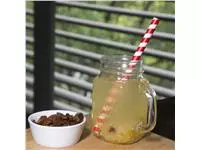 Een Fiesta Compostable rood/wit gestreepte papieren smoothierietjes 21cm (250 stuks) koop je bij ShopXPress