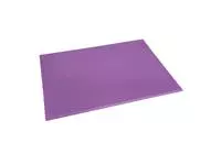 Een Hygiplas HDPE snijplank paars - 600x450x12mm koop je bij ShopXPress