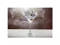 Een Olympia Crystal Bar Collection martiniglazen 27,5cl (6 stuks) koop je bij ShopXPress