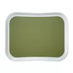 Een Cambro Versa Lite Century Fun polyester dienblad groen 43cm koop je bij ShopXPress