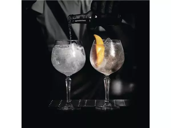 Een Artis speakeasy gin-glazen 580 ml (6 stuks) koop je bij ShopXPress