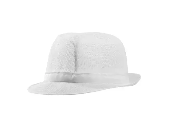 Een Trilby hoed zonder haarnet wit L koop je bij ShopXPress