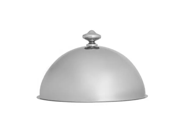 Een APS RVS cloche 29,5cm koop je bij ShopXPress