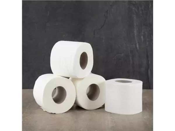 Een Jantex 2-laags toiletpapier (36 stuks) koop je bij ShopXPress