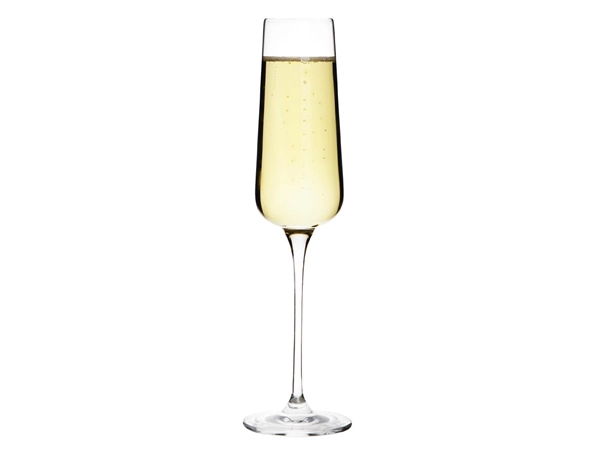 Buy your Olympia Claro champagne flutes 260ml (6 stuks) at Supplierz BV