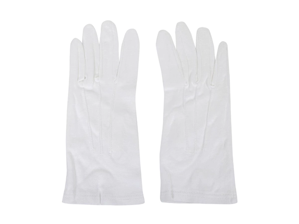 Vous pouvez acheter un Gants de service pour homme blancs L/XL chez Supplierz BV