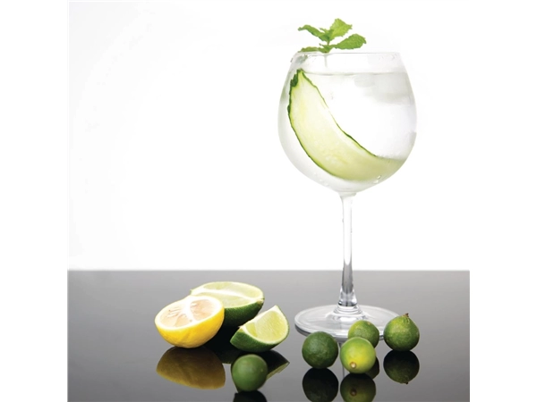 Een Olympia Bar Collection kristallen gin tonic glazen 645ml (6 stuks) koop je bij Supplierz BV