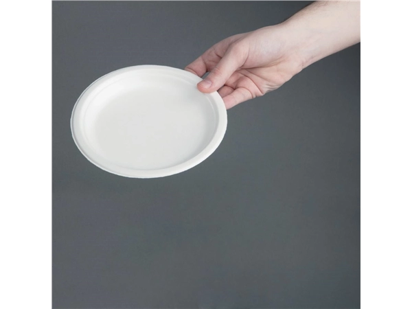 Een Fiesta Compostable composteerbare bagasse borden 17,9cm (50 stuks) koop je bij Supplierz BV