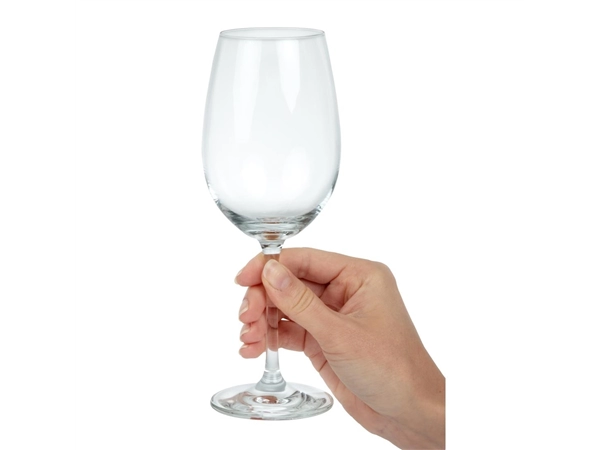 Een Schott Zwiesel Ivento witte wijnglazen 340ml (6 stuks) koop je bij Supplierz BV