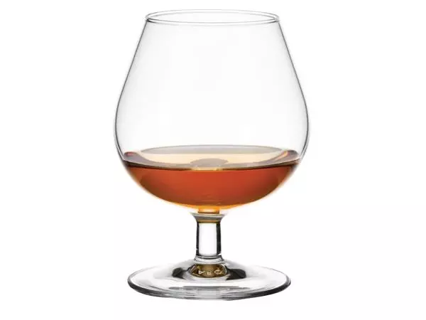 Een Arcoroc brandy- cognacglaszen 25cl (6 stuks) koop je bij ShopXPress