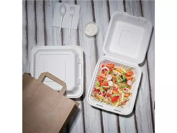 Een Fiesta Compostable composteerbare bagasse voedseldozen 223mm (200 stuks) koop je bij ShopXPress