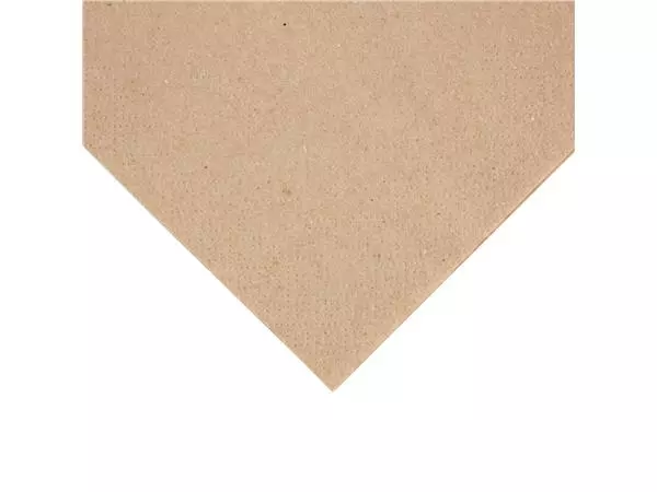 Een Fiesta Recyclable servetten 1/4 vouw gerecycled kraftpapier 240mm (4000 stuks) koop je bij ShopXPress