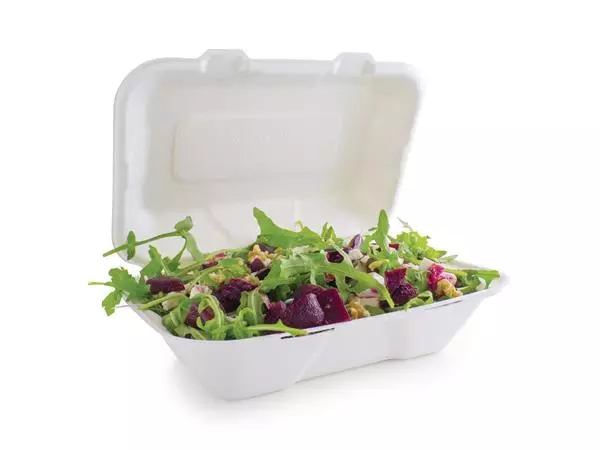 Een Vegware composteerbare bagasse voedseldozen met scharnierdeksel 22,8cm (200 stuks) koop je bij ShopXPress