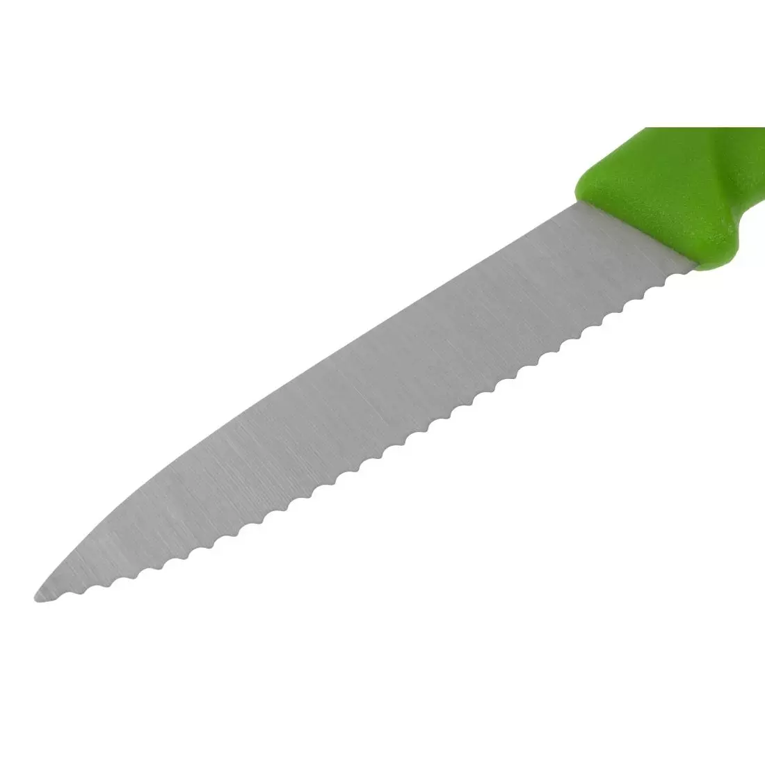 Een Victorinox gekarteld schilmesje groen 8cm koop je bij ShopXPress