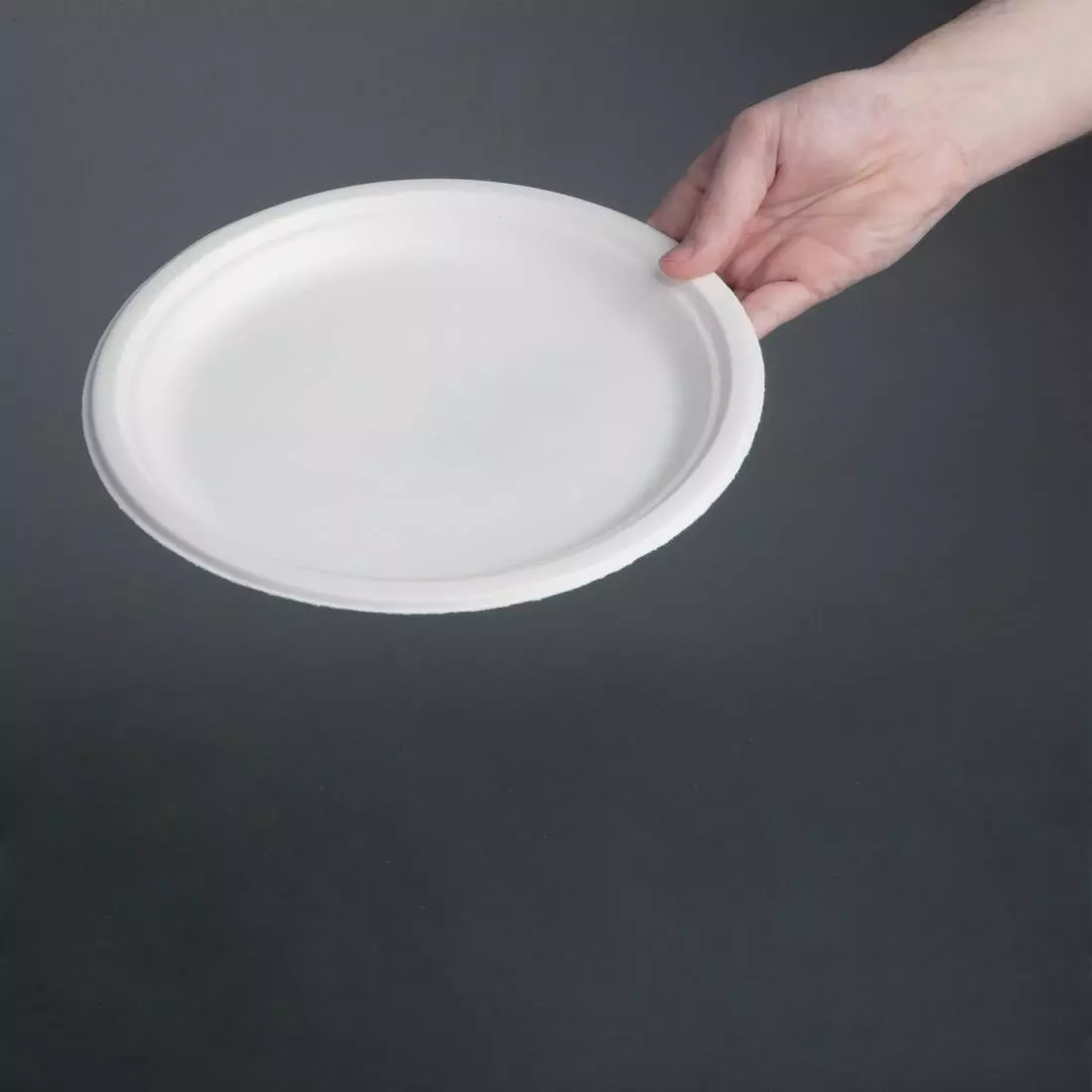 Een Fiesta Compostable composteerbare bagasse borden 26cm (50 stuks) koop je bij ShopXPress