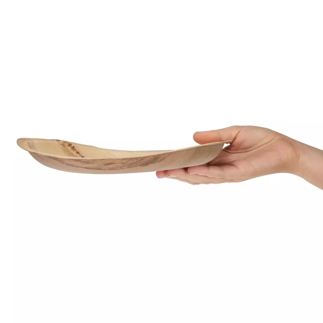 Een Fiesta Compostable biologisch afbreekbare ronde palmblad borden 25cm (100 stuks) koop je bij ShopXPress