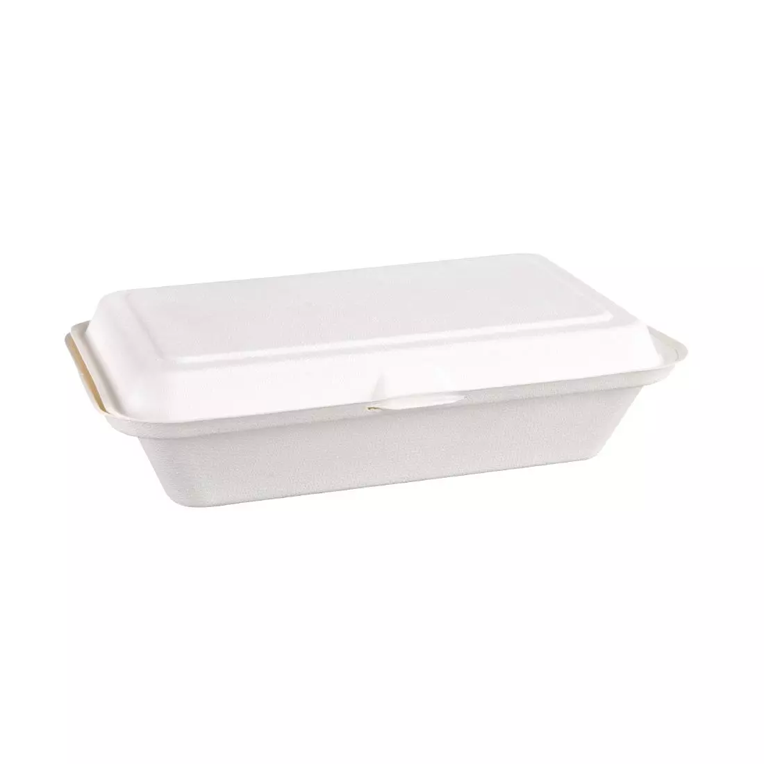 Een Fiesta Compostable composteerbare bagasse voedseldozen 24,8cm (250 stuks) koop je bij ShopXPress