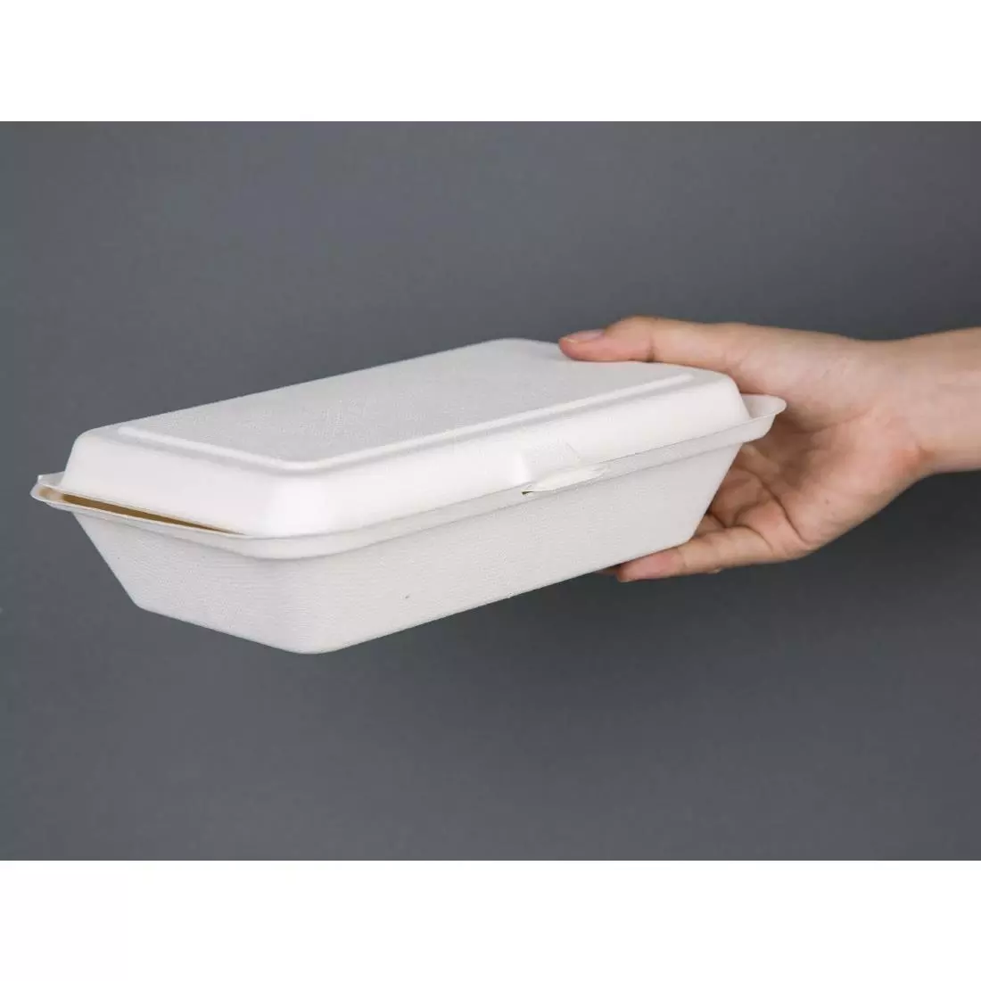 Een Fiesta Compostable composteerbare bagasse voedseldozen 24,8cm (250 stuks) koop je bij ShopXPress