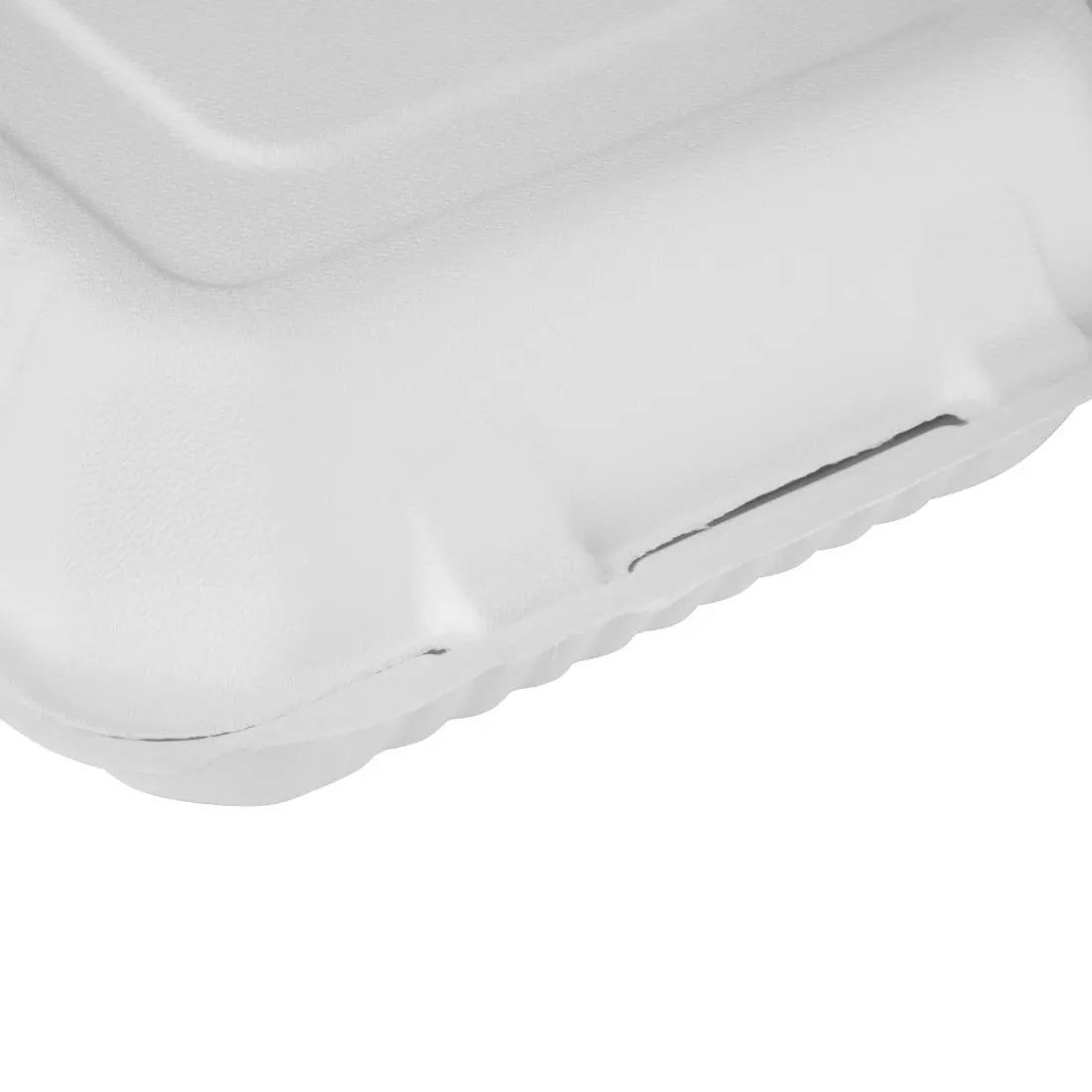 Een Fiesta Compostable composteerbare bagasse voedseldozen 223mm (200 stuks) koop je bij ShopXPress